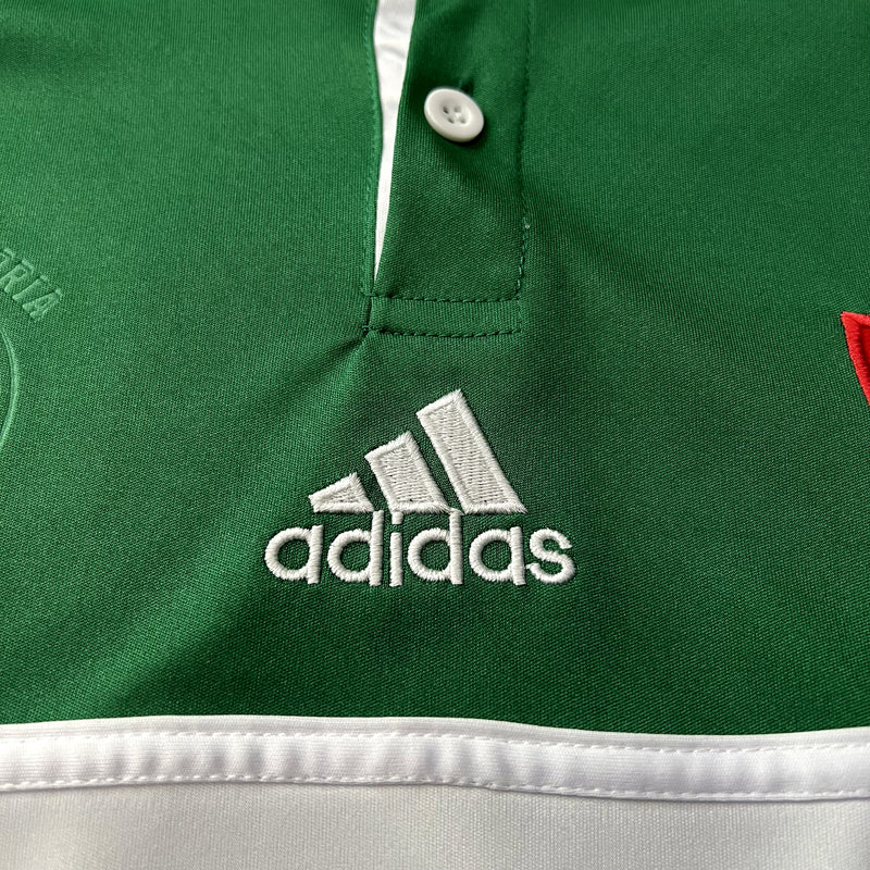 PALMEIRAS 2014